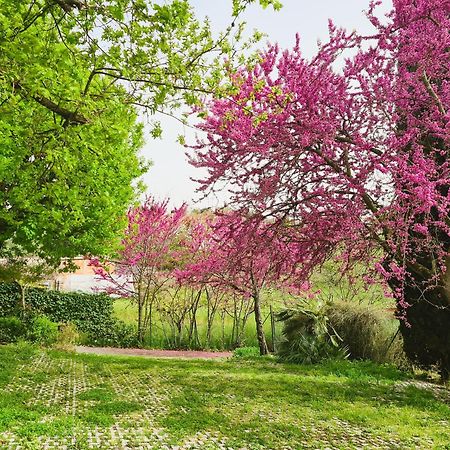 Il Parco Holiday - Locazione Turistica Fonte Nuova Exterior foto
